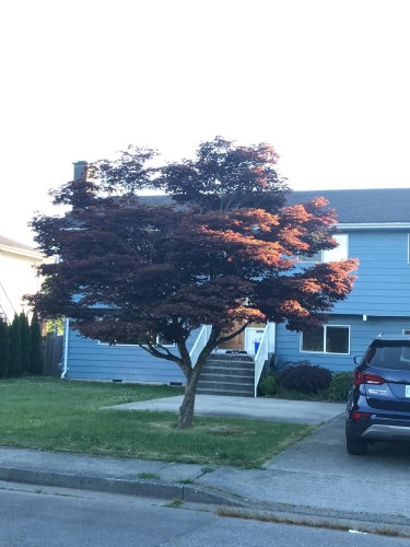 10271 Rosedene Crescent, Richmond, BC 