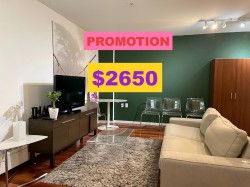 305-440 Richards Street Vancouver, BC V6B 2Z3