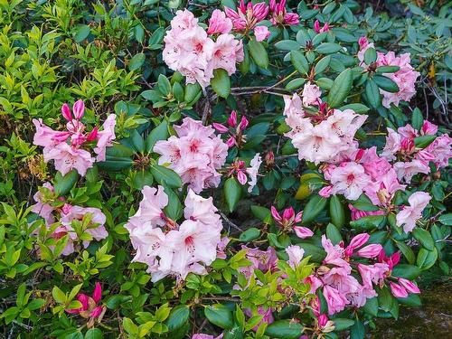 3898 Southridge Avenue, West Vancouver, BC 