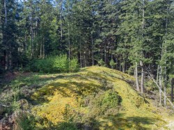 2070 Cape Drive  Bowen Island, BC V0N 1G2