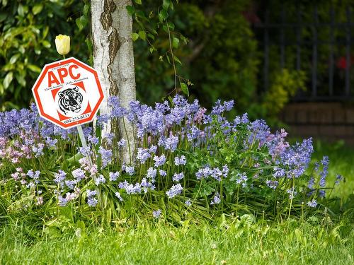 7471 Lindsay Road, Richmond, BC 