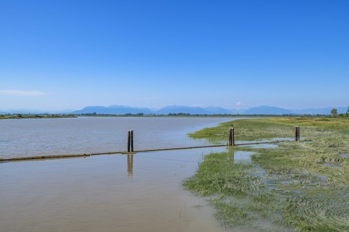 3995 Trim Road, Delta, BC 