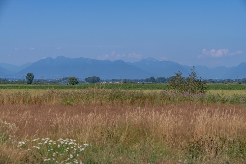 3995 Trim Road, Delta, BC 