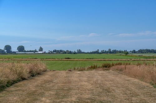 3995 Trim Road, Delta, BC 