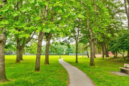 9520 Williams Road, Richmond, BC 