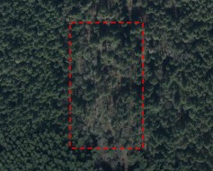 23900 138 Avenue  Maple Ridge, BC V0V 0V0