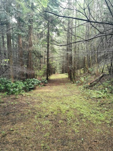 706 Fernhill Road, Mayne Island, BC 