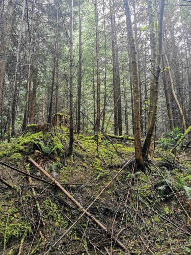 706 Fernhill Road, Mayne Island, BC 