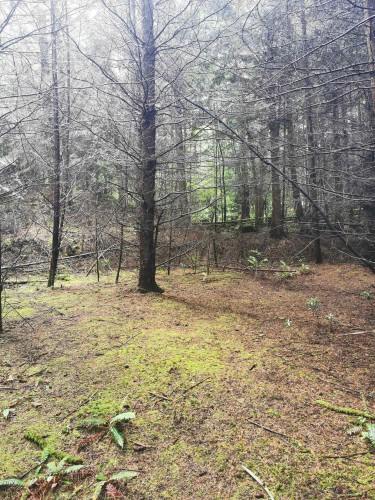 706 Fernhill Road, Mayne Island, BC 