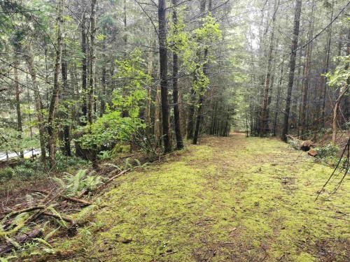 706 Fernhill Road, Mayne Island, BC 