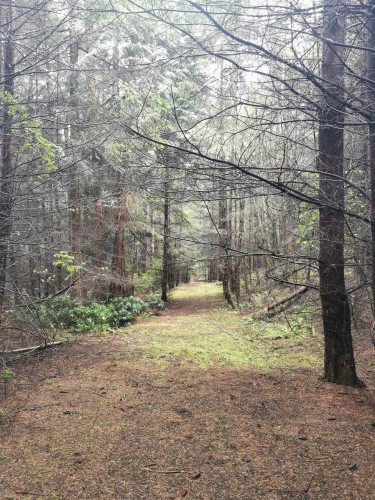 706 Fernhill Road, Mayne Island, BC 