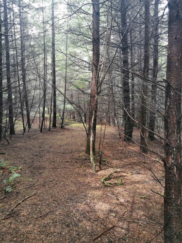 706 Fernhill Road, Mayne Island, BC 