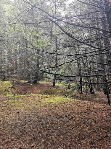 706 Fernhill Road, Mayne Island, BC 