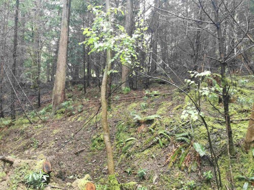 706 Fernhill Road, Mayne Island, BC 