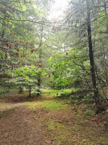 706 Fernhill Road, Mayne Island, BC 
