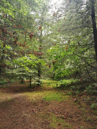 706 Fernhill Road, Mayne Island, BC 