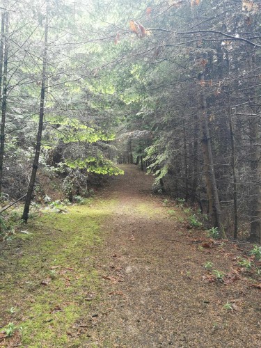 706 Fernhill Road, Mayne Island, BC 