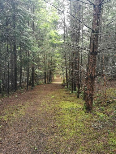 706 Fernhill Road, Mayne Island, BC 