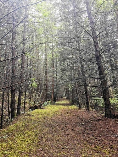 706 Fernhill Road, Mayne Island, BC 