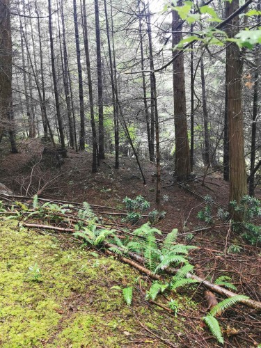706 Fernhill Road, Mayne Island, BC 