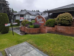 31-12296 224th Street  Maple Ridge, BC V2X 0M3