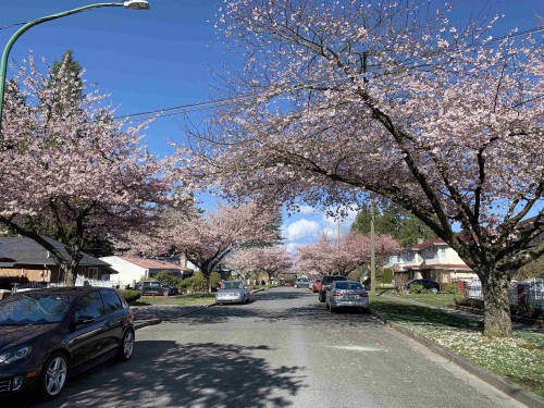 7606 Ulster Street  Burnaby, BC V5E 2E9