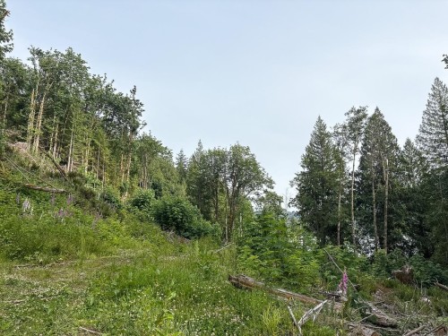 District Lot 5270, Egmont, BC 