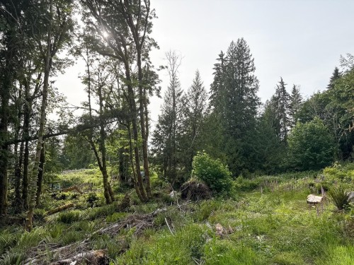 District Lot 5270, Egmont, BC 