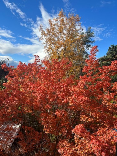 405-6611 Minoru Boulevard, Richmond, BC 