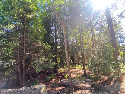 Lot B Grandview Road, Gibsons, BC 