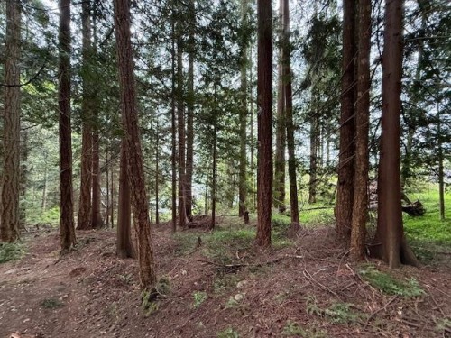 Lot 10 Elphinstone Avenue, Gibsons, BC 