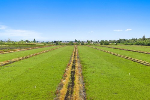 6860 Sidaway Road, Richmond, BC 