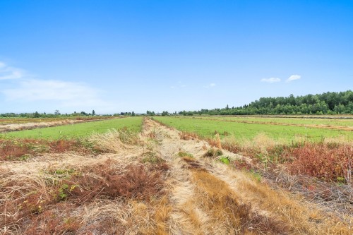 6860 Sidaway Road, Richmond, BC 