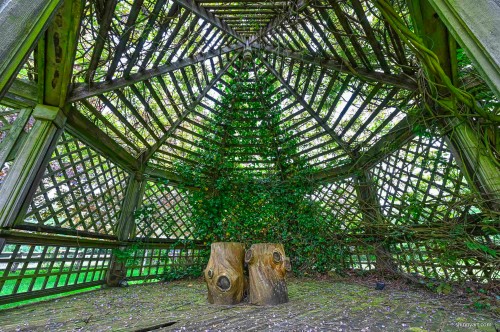 6786 Blenheim Street, Vancouver, BC 