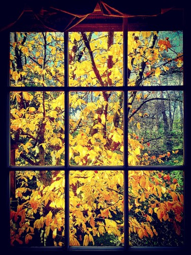 6786 Blenheim Street, Vancouver, BC 