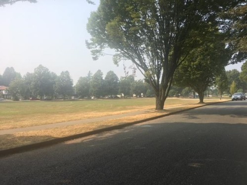 5336 Rhodes Street, Vancouver, BC 