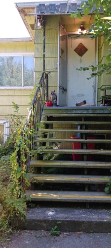 1824 11Th Avenue E, Vancouver, BC 