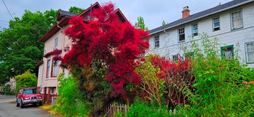 1332 2Nd Avenue E, Vancouver, BC 