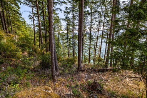 1345 Catalina Road, Bowen Island, BC 