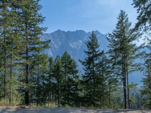 8206 Merlot Peak Drive, Pemberton, BC 