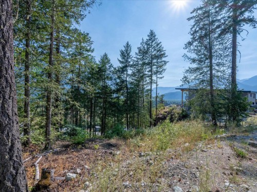8206 Merlot Peak Drive, Pemberton, BC 