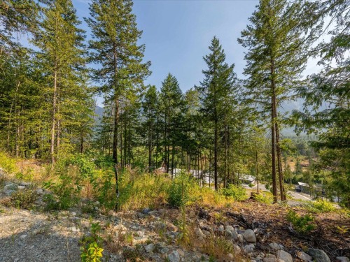 8206 Merlot Peak Drive, Pemberton, BC 