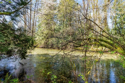 13209 232 Street  Maple Ridge, BC V4R 2S7