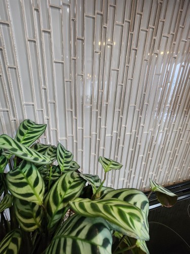 302-1228 Marinaside Crescent, Vancouver, BC 