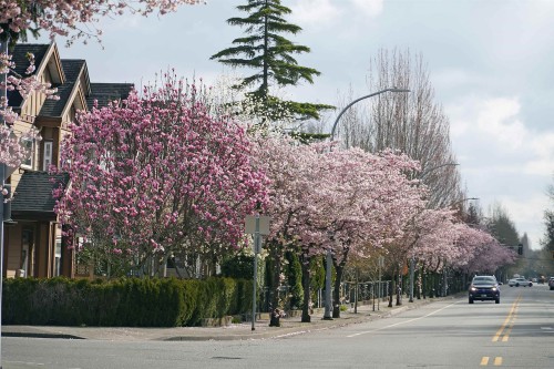 10391 Williams Road, Richmond, BC 