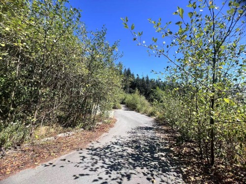 4140 Cypress Bowl Road, West Vancouver, BC 