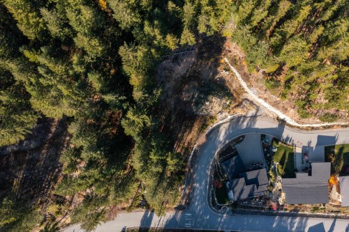 8590 Ashleigh Mcivor Drive, Whistler, BC 