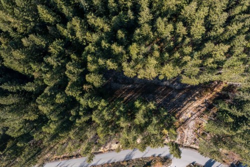 8590 Ashleigh Mcivor Drive, Whistler, BC 