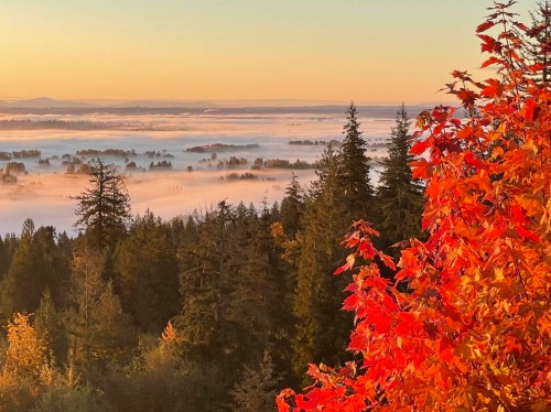 3509 Hadley Wood, Coquitlam, BC 