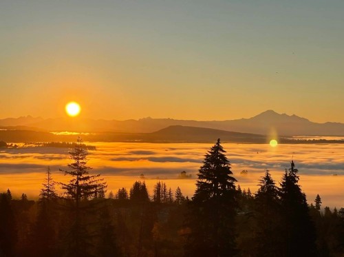 3509 Hadley Wood, Coquitlam, BC 